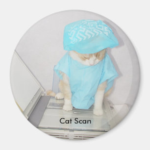 Imán Análisis de gato