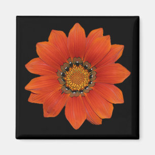 Imán anaranjado de la flor 2