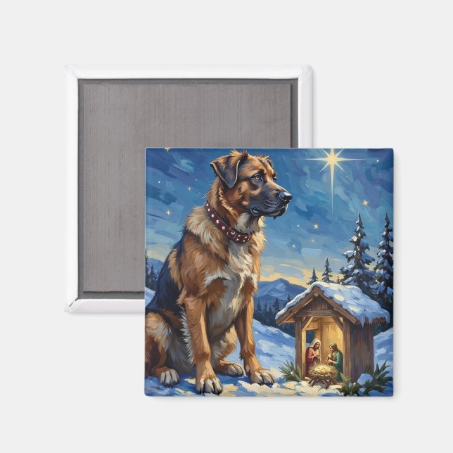 Imán Anatolian Shepherd Dog Guarding Nativity Scene (Anverso/Reverso)