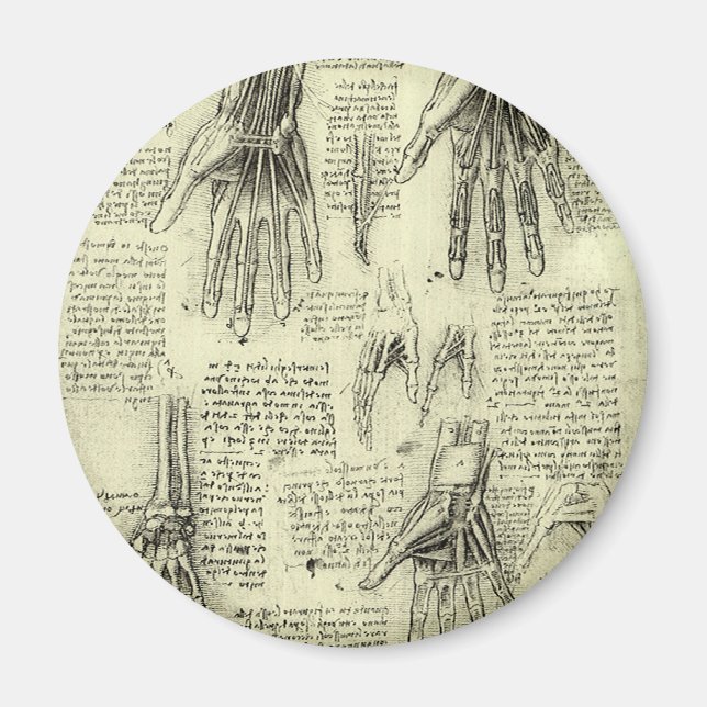 Imán Anatomía de la mano humana por Leonardo da Vinci (Frente)