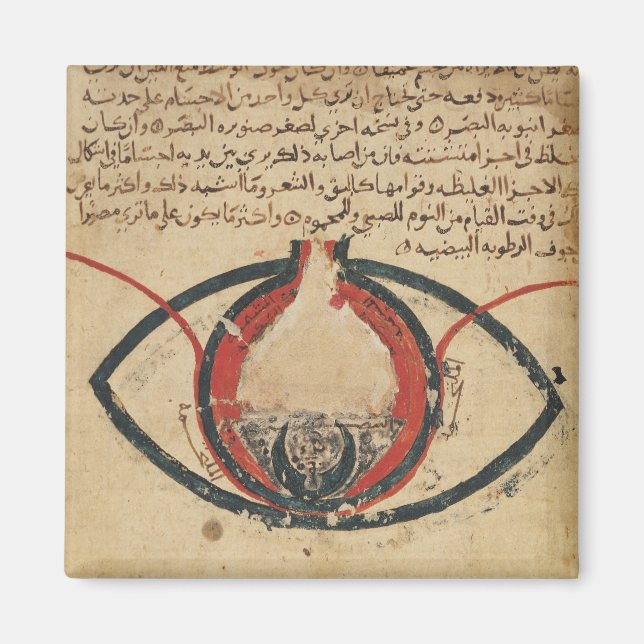 Imán Anatomía de los ojos, de un libro sobre enfermedad (Frente)