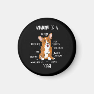 Imán Anatomía de perro , Regalo de biología de Corgi