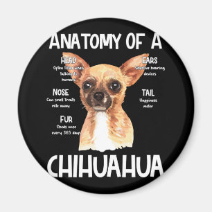 Imán Anatomía De Un Chihuahua Para Los Amantes Del Perr