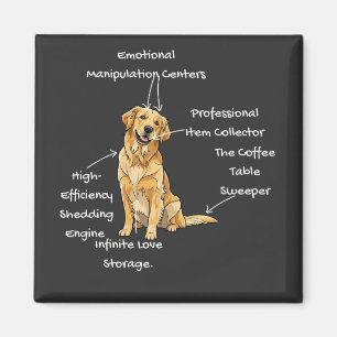 Imán Anatomía de un Golden Retriever - Divertido regalo