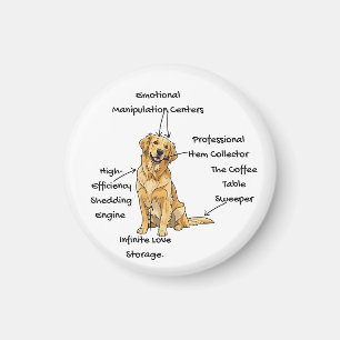 Imán Anatomía de un Golden Retriever - Funny Dog Mom/Da
