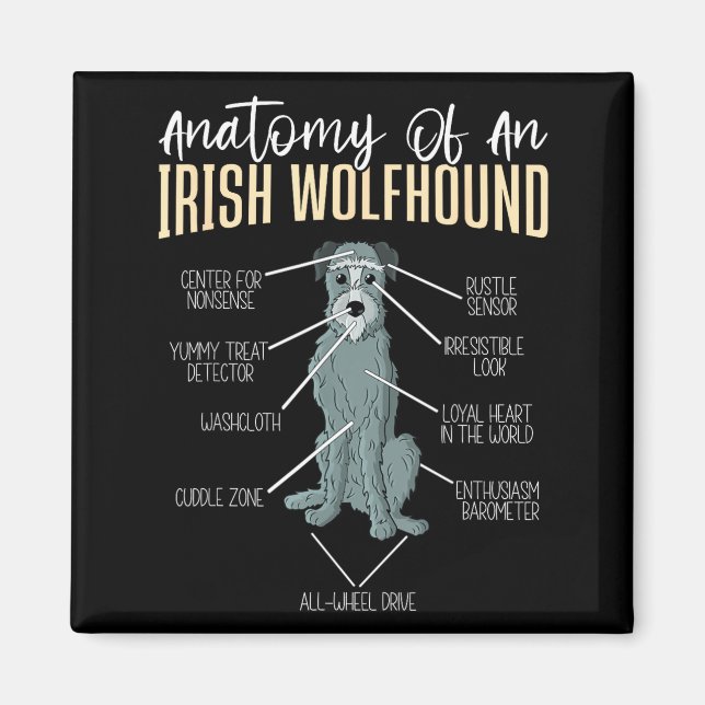 Imán Anatomía de un lobo irlandés (Frente)