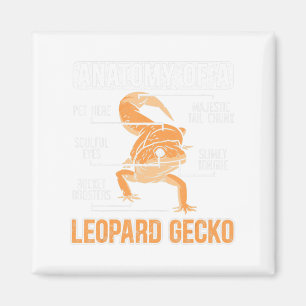 Imán Anatomía De Un Rep De Animales Lizard Lover Gecko