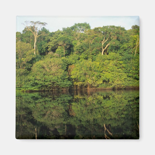 Imán Anavilhanas, Amazonas, Brasil. Río de selva tropic (Frente)