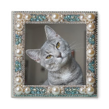 Ancla de memoria de gato gris