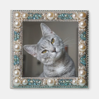 Imán Ancla de memoria de gato gris