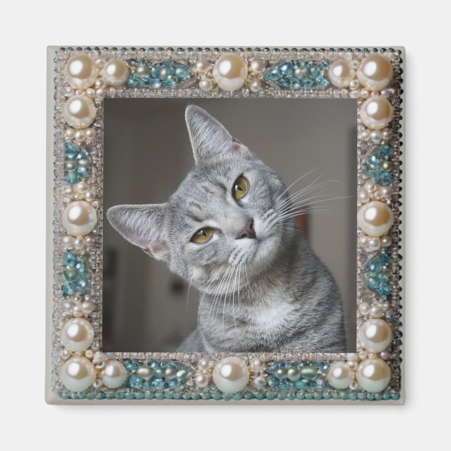 Imán Ancla de memoria de gato gris  (Frente)