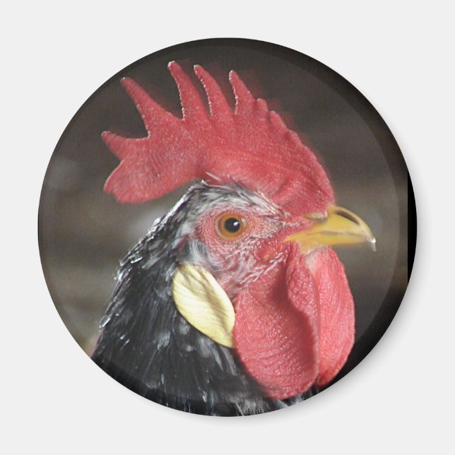 Imán Ancona Roo (Frente)