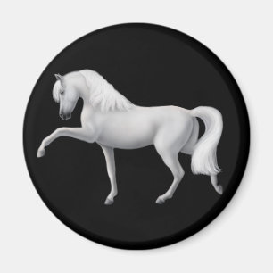 Imán andaluz blanco del caballo