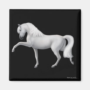 Imán andaluz blanco del caballo