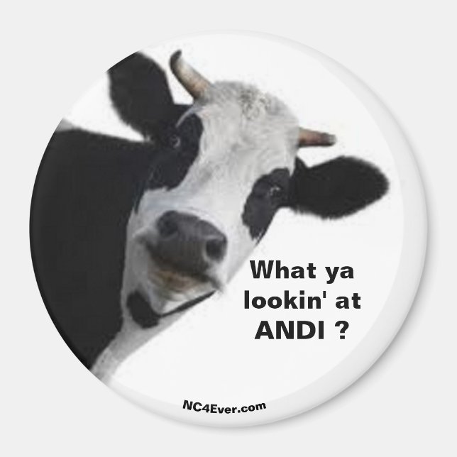Imán ANDI ¿Qué miras? (Frente)