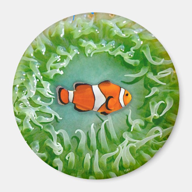 Imán Anemone Magnet (Frente)
