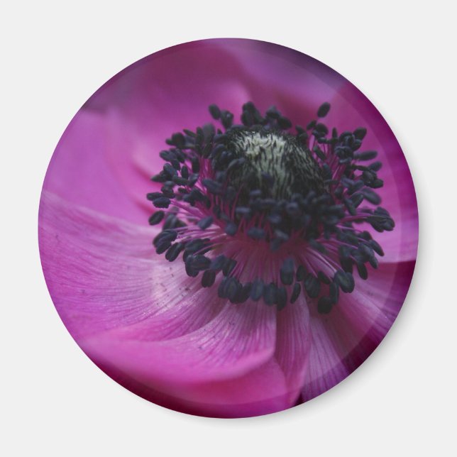 Imán Anemone Round Magnet de corazón negro (Frente)