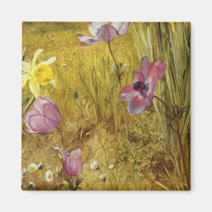 Imán Anemones antiguos y Daffodils Henry Newman