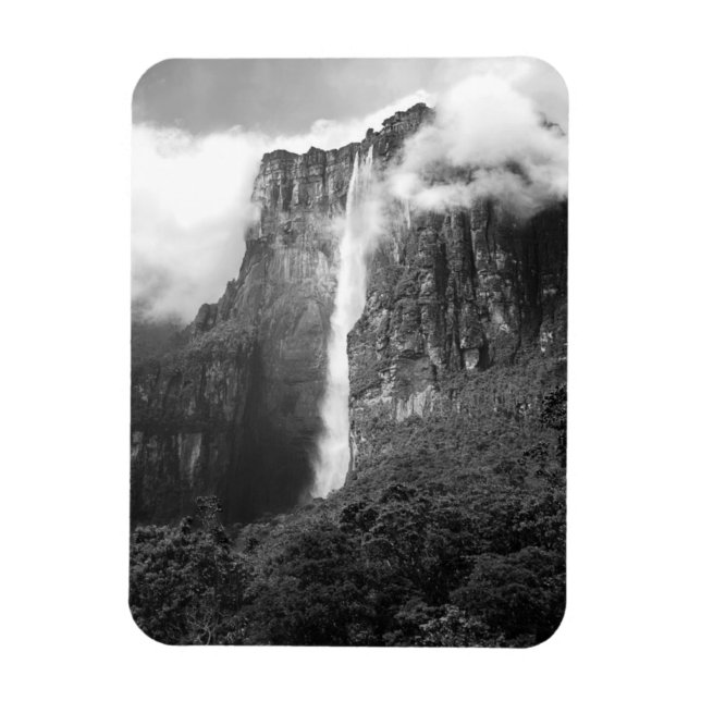 Imán Angel cae en negro y blanco (Vertical)