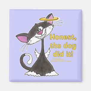 Imán Angel de gatos