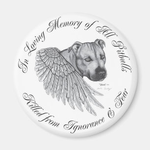 Imán Ángel de Zeus