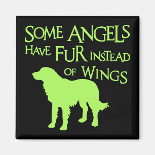 IMÁN ÁNGEL DEL GOLDEN RETRIEVER