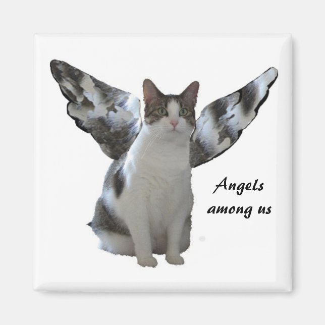 Imán Angel Kitty Magnet (Frente)