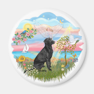 Imán Angel Star - Black Lab
