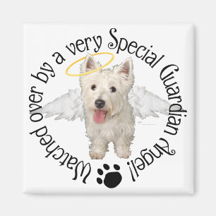 Imán Ángeles de la Guardia Westie