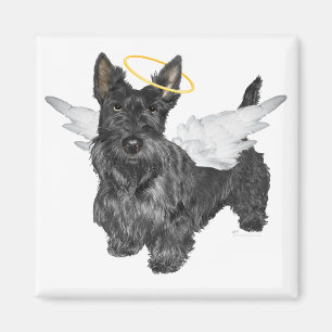 Imán Ángeles Scottie