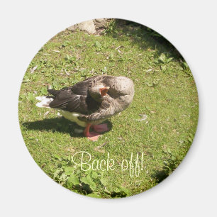 Imán Angry Goose Back Off Magnet