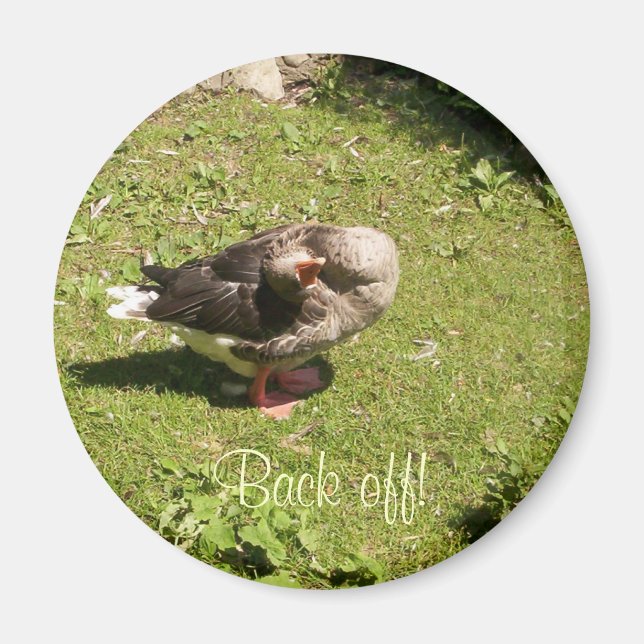 Imán Angry Goose Back Off Magnet (Frente)