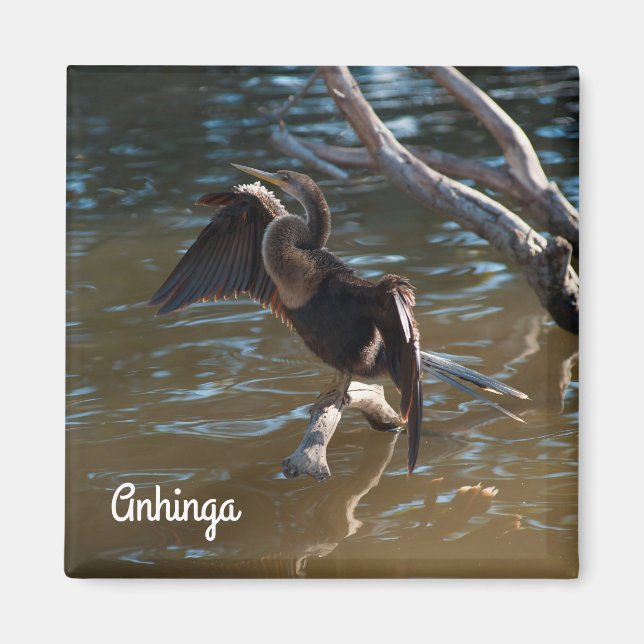 Imán Anhinga (Frente)