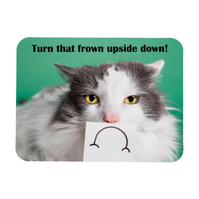 Imán Animación De Animación Gracioso Gato Con Gato Frío (Horizontal)