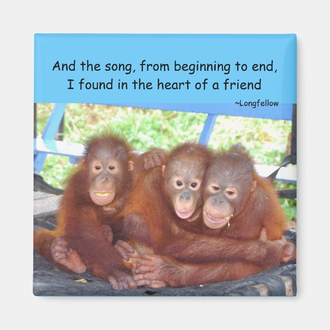 Imán Animal Babies Friendship  3's Not a Crowd (Frente)