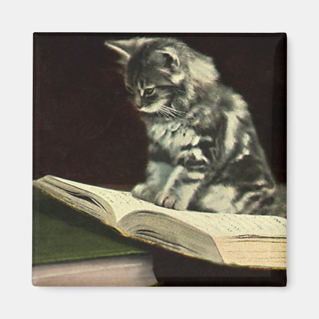 Imán Animal de época, libro de lectura de gatitos victo (Frente)