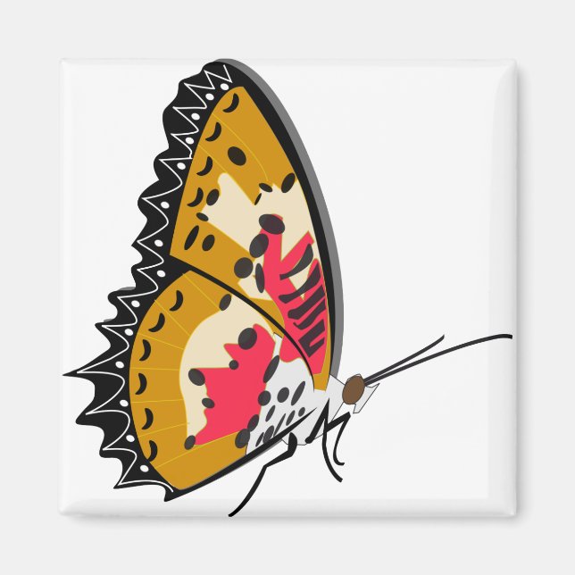 Imán Animal de los insectos de mariposa (Frente)