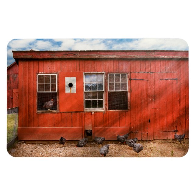 Imán Animal - Pájaro - Observación de aves (Horizontal)