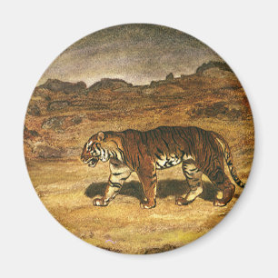Imán Animal Salvaje Antiguo, Tigre de Bengala Recorrien