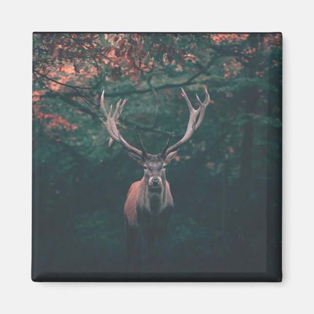 Imán Animal salvaje Buck Deer (Frente)