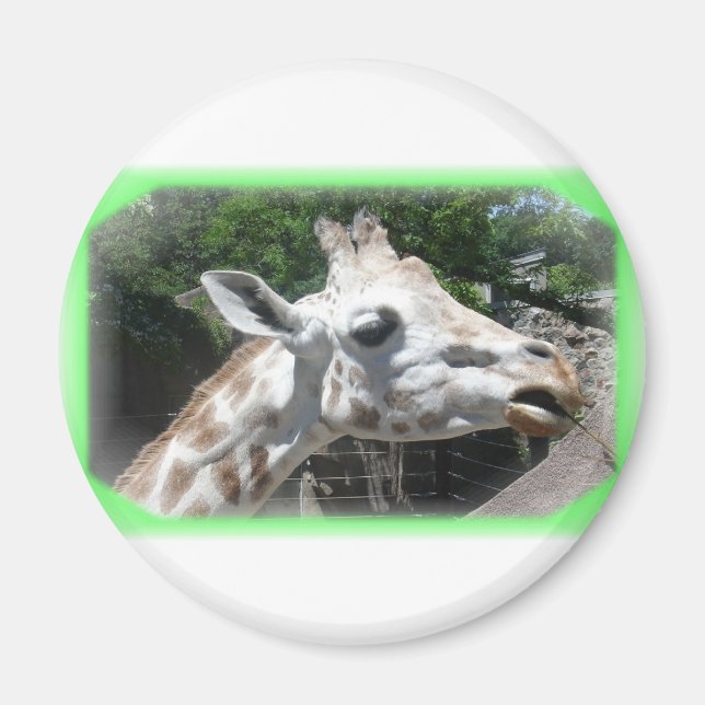 Imán Animales (Frente)