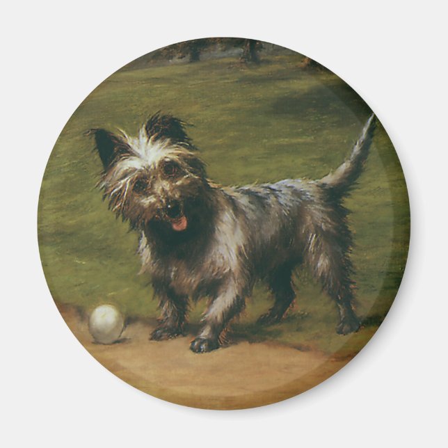 Imán Animales antiguos perros, cachorro lindo de terrie (Frente)