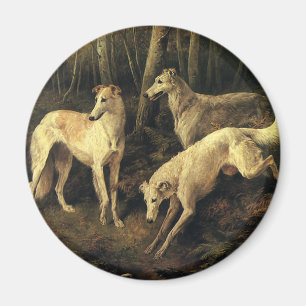 Imán Animales antiguos, perros de caza galgos en el bos