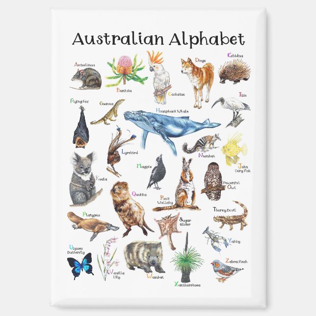 Imán Animales de Australia (Anverso)