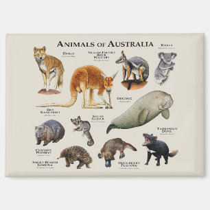 Imán Animales de Australia