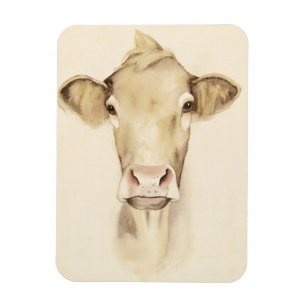 Imán Animales de barras acuarelas  Vaca