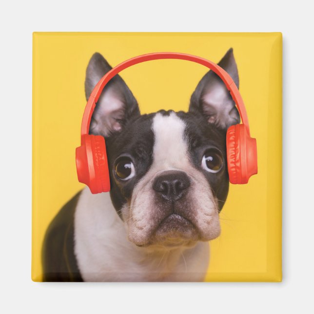 Imán Animales de bebé más afectados | Auriculares de Bo (Frente)