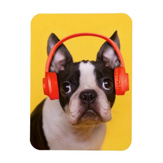 Imán Animales de bebé más afectados | Auriculares de Bo (Vertical)