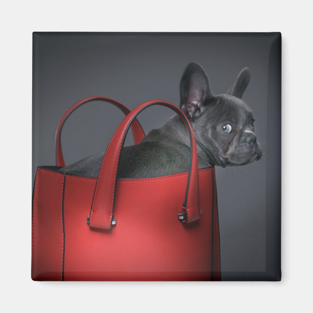 Imán Animales de bebé más afectados | Bolsa de mano roj (Frente)