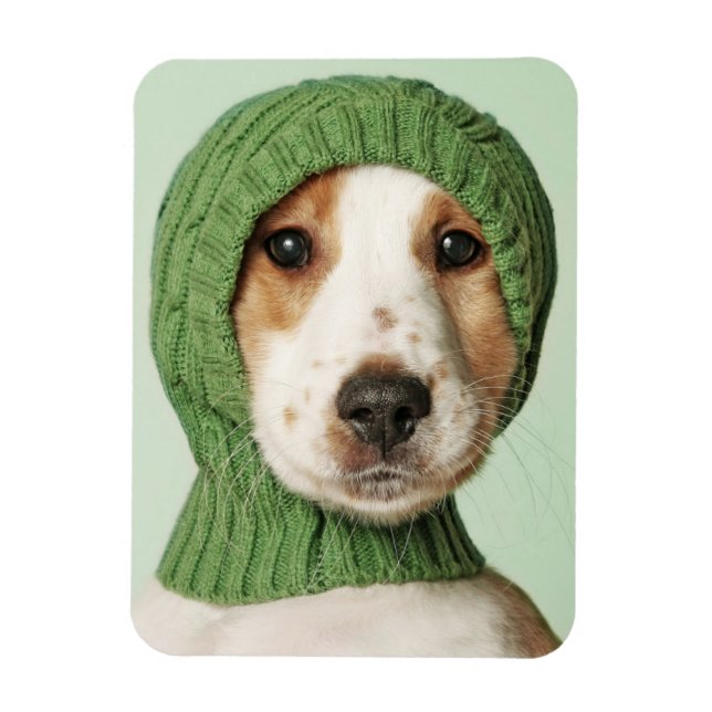 Imán Animales de bebé más afectados | Cocker Spaniel Pu (Vertical)